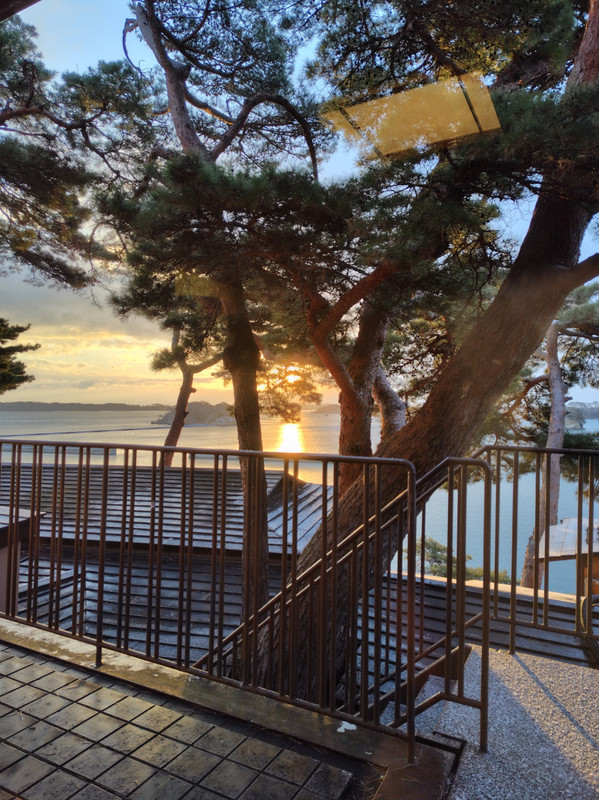 客室からの眺望