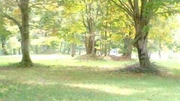 施設からの眺望 / 19