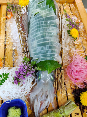 サガシティホテル3506911