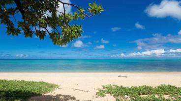 観光スポット / 30