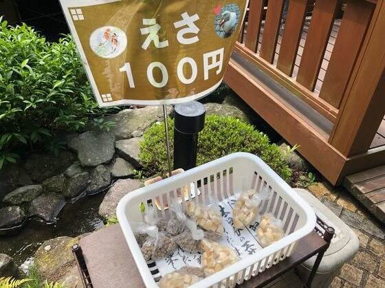 usagi672さんの写真 / 3