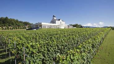 観光スポット / 9