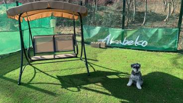 ペット用設備・サービス / 8