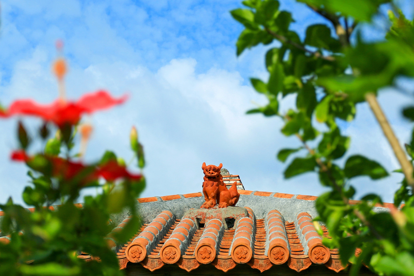 ハイサイ沖縄　青い空と赤いハイビスカスとシーサー