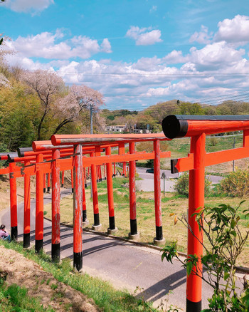 この鳥居の下は車が通ります。