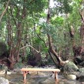 民宿 nicoichi（屋久島）（鹿児島県 民宿） / 3