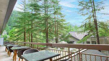 テラス / パティオ / 19