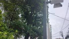 紀伊国屋旅館