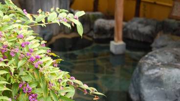 施設の敷地 / 19