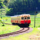 レトロかわいいローカル線小湊鉄道で、美しい風景を満喫しよう！