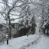 ゲストハウス クロイツェル（東急リゾートタウン蓼科）（長野県 ペンション） / 4