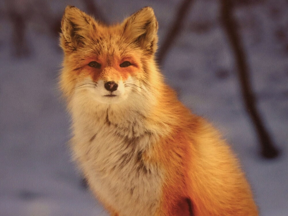 施設からの眺望