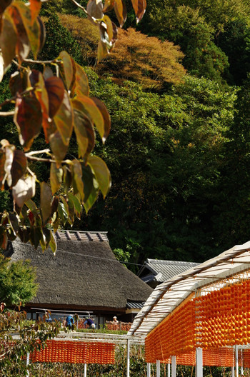 2.かつらぎ温泉3431813