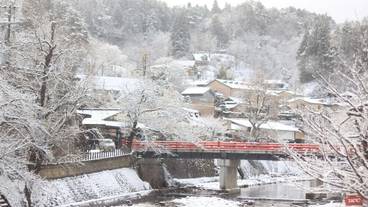 ランド ビュー / 17