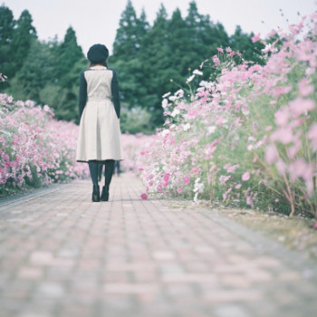 I went to take a picture in the cosmos field ♪