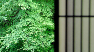 四季の移ろいと山を望む掘りごたつのある空間 (山の菴･和室) 禁煙