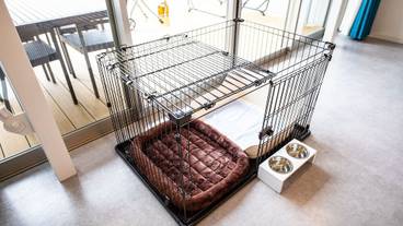 ペット同伴可 / 1