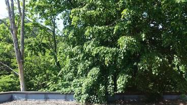 部屋からの景観 / 13