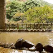 有馬温泉 月光園 鴻朧館（兵庫県 旅館） / 3