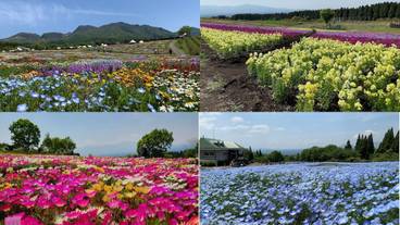 観光スポット / 1