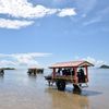 水牛で海を渡る！『由布島』は大自然を体感できる南国のテーマパーク