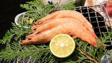 夕食一例／本海老の網焼き / 9