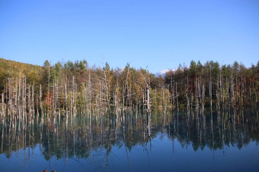 施設からの眺望