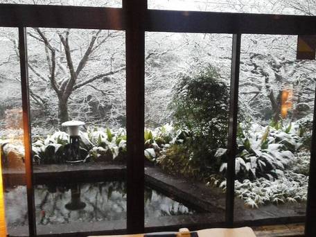 肥前 嬉野温泉 隠宿 華の雫 / 3