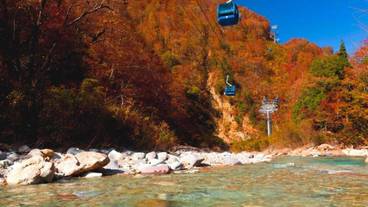 観光スポット / 14