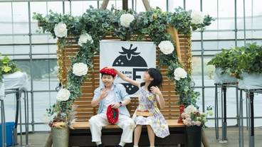 子供向けアクティビティ / 12