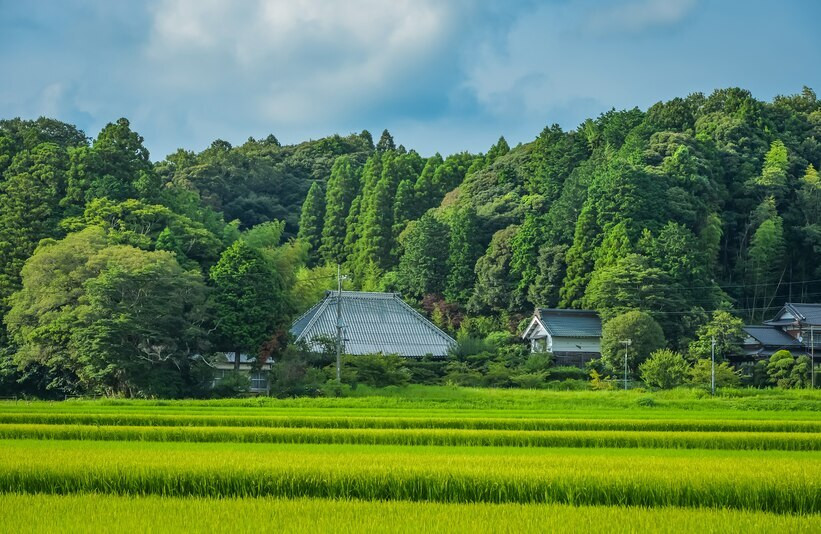 渓谷の町、大多喜で田舎暮らしを体験する宿3644576
