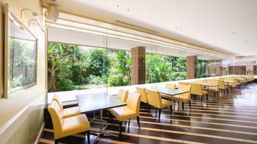 プランタン窓際の席 / 13