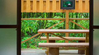 (桜草) リビング8畳+寝室4.5畳キッチン付き[禁煙]