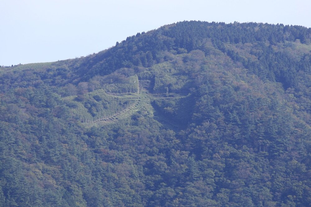 マウンテン ビュー