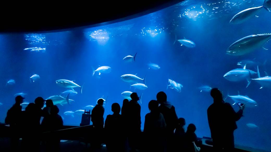 東京都葛西臨海水族園 / 2