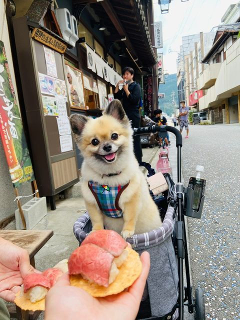 k_chirashi_さんの写真 / 1