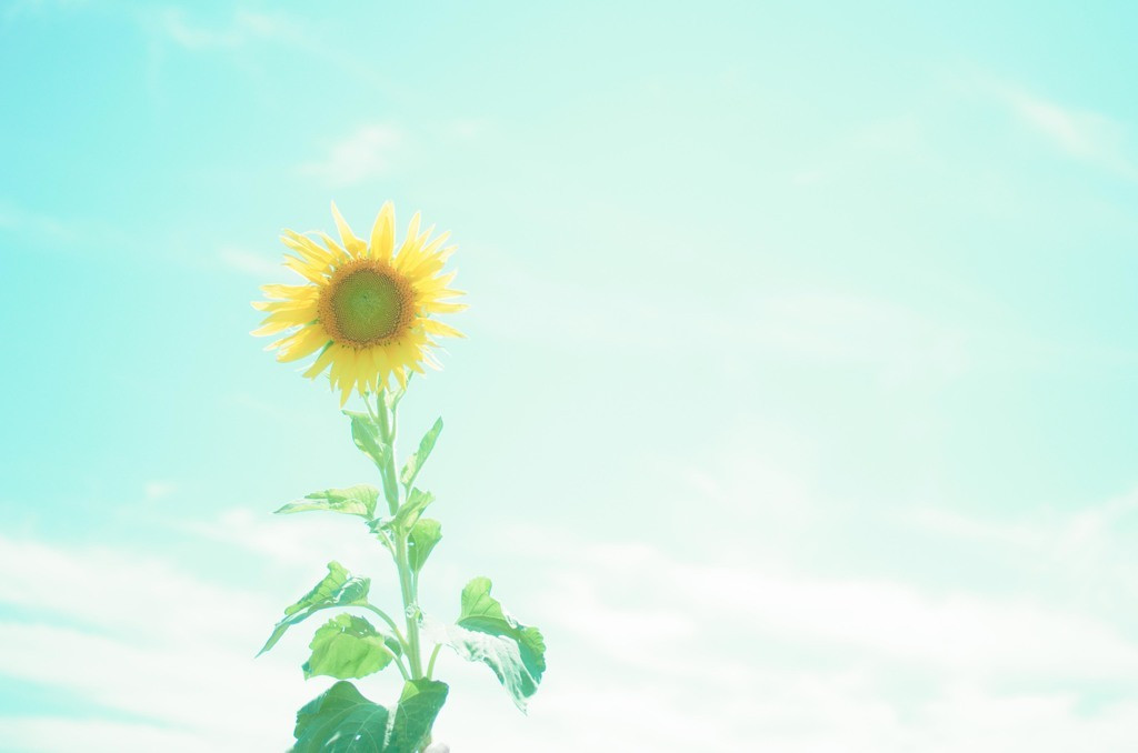 瀬戸内の島めぐりや香川県内観光を女子一人旅で楽しむ。4083529