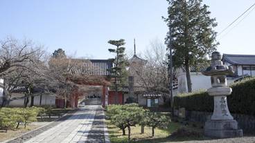 施設の敷地 / 24