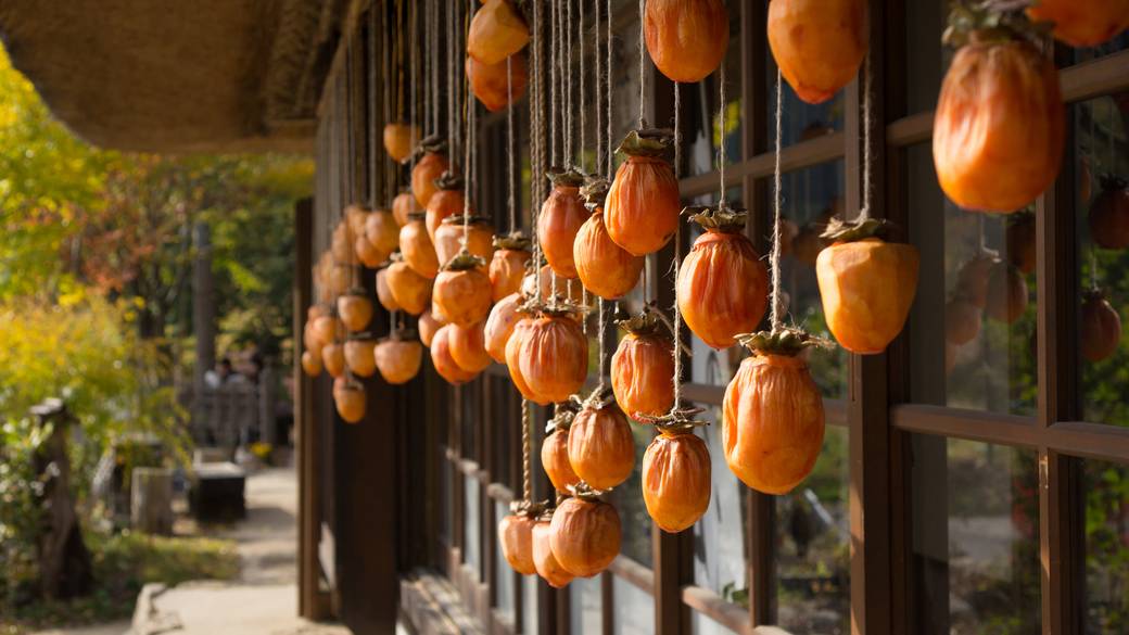 西湖いやしの里根場③ / 3