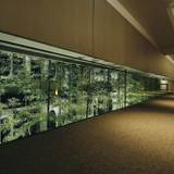 竹林の緑が美しい2階の廊下 / 5