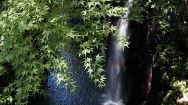 観光スポット / 28