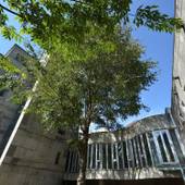 苗場のホテル the Kinta Naeba（新潟県 リゾートホテル） / 5