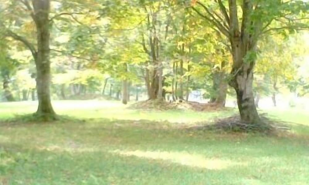 施設からの眺望