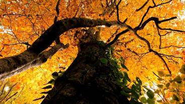 施設の敷地 / 11