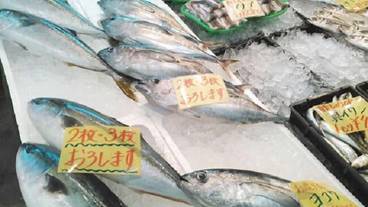 観光スポット / 5