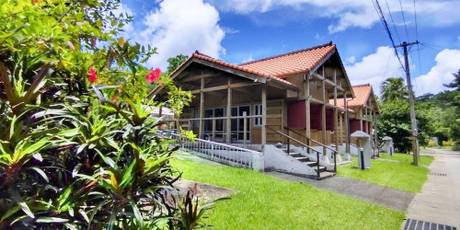 イルンティ フタデムラ（西表島）