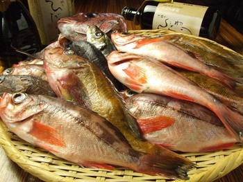 「淡路島と喰らえ 三軒茶屋店」料理 588963 