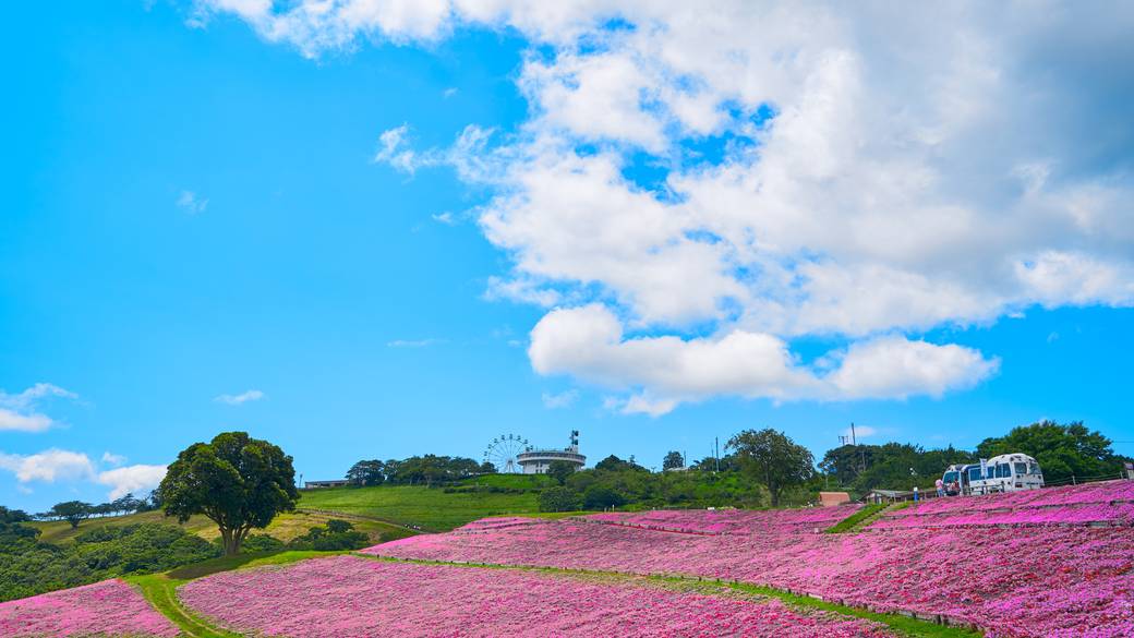 ドライブデートで
「マザー牧場」へ♡ / 4