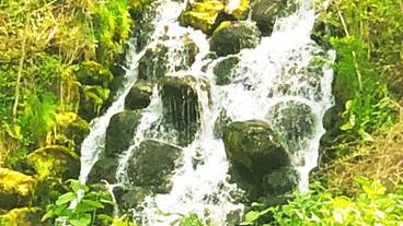 施設の敷地 / 39