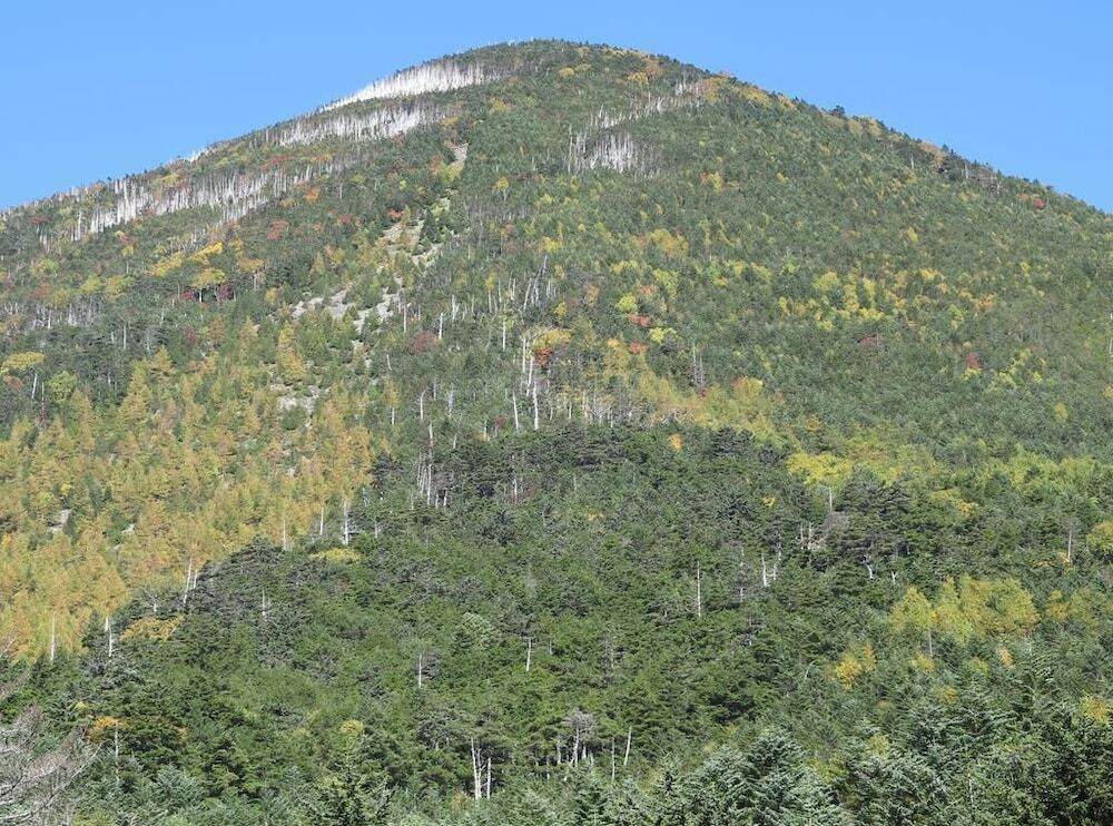 マウンテン ビュー